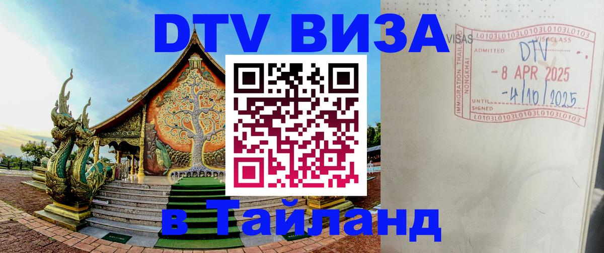 Оформление DTV визы под ключ: стоимость и тарифы, только загранпаспорт - Якутск  21.11.2025 